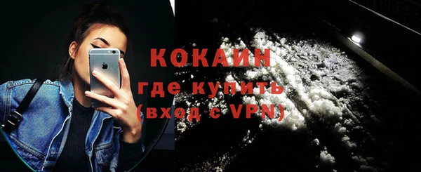 ешки Вяземский
