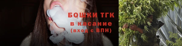 ешки Вяземский