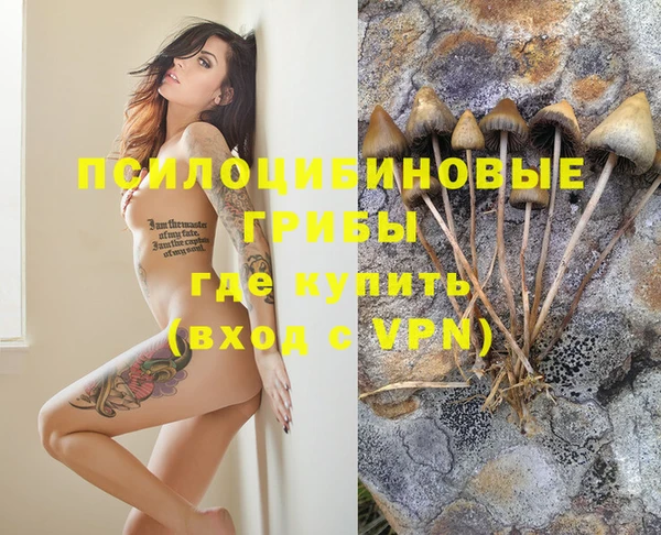 mdpv Вязники