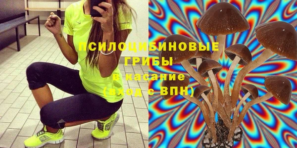 ешки Вяземский