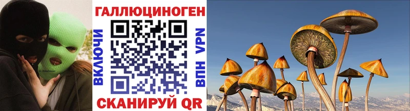 OMG маркетплейс  цена   Орехово-Зуево  Галлюциногенные грибы мухоморы 